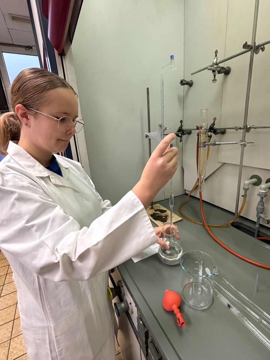 Die 8. Klassen im Praktikumsfieber