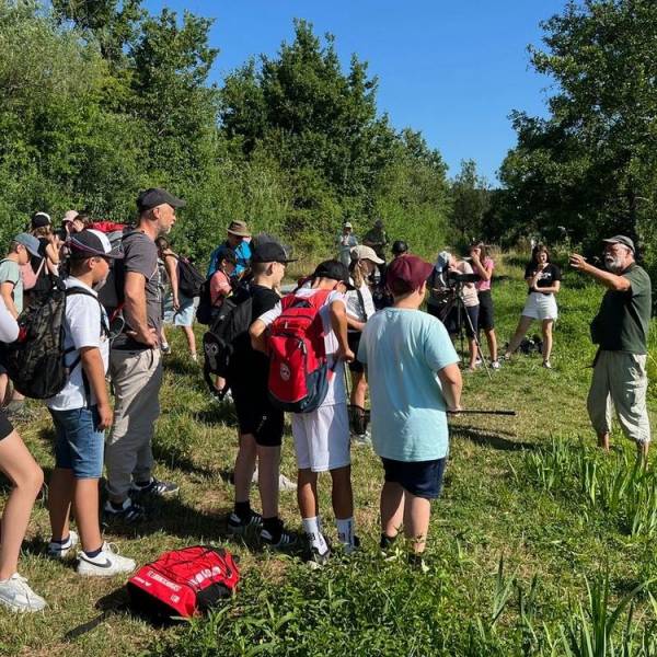 Auf den Spuren von Biber & Haubentaucher